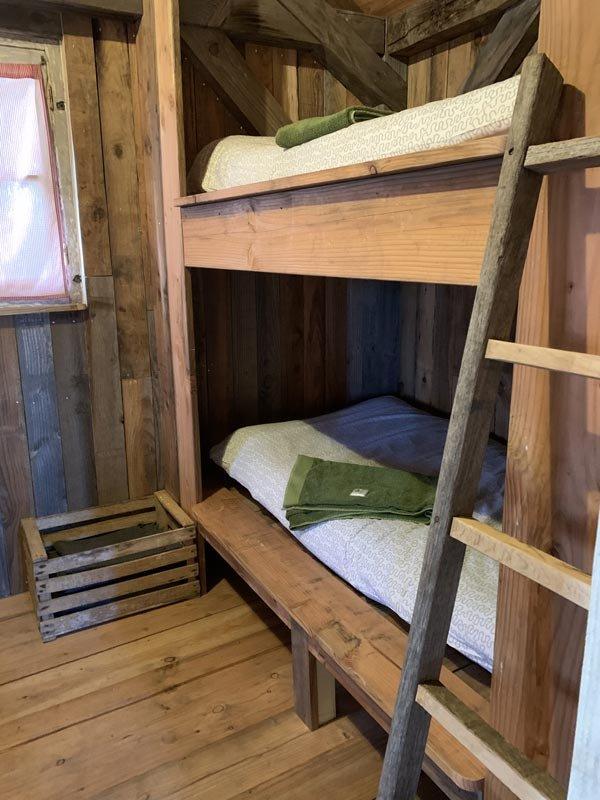 La Cabane — photo 3